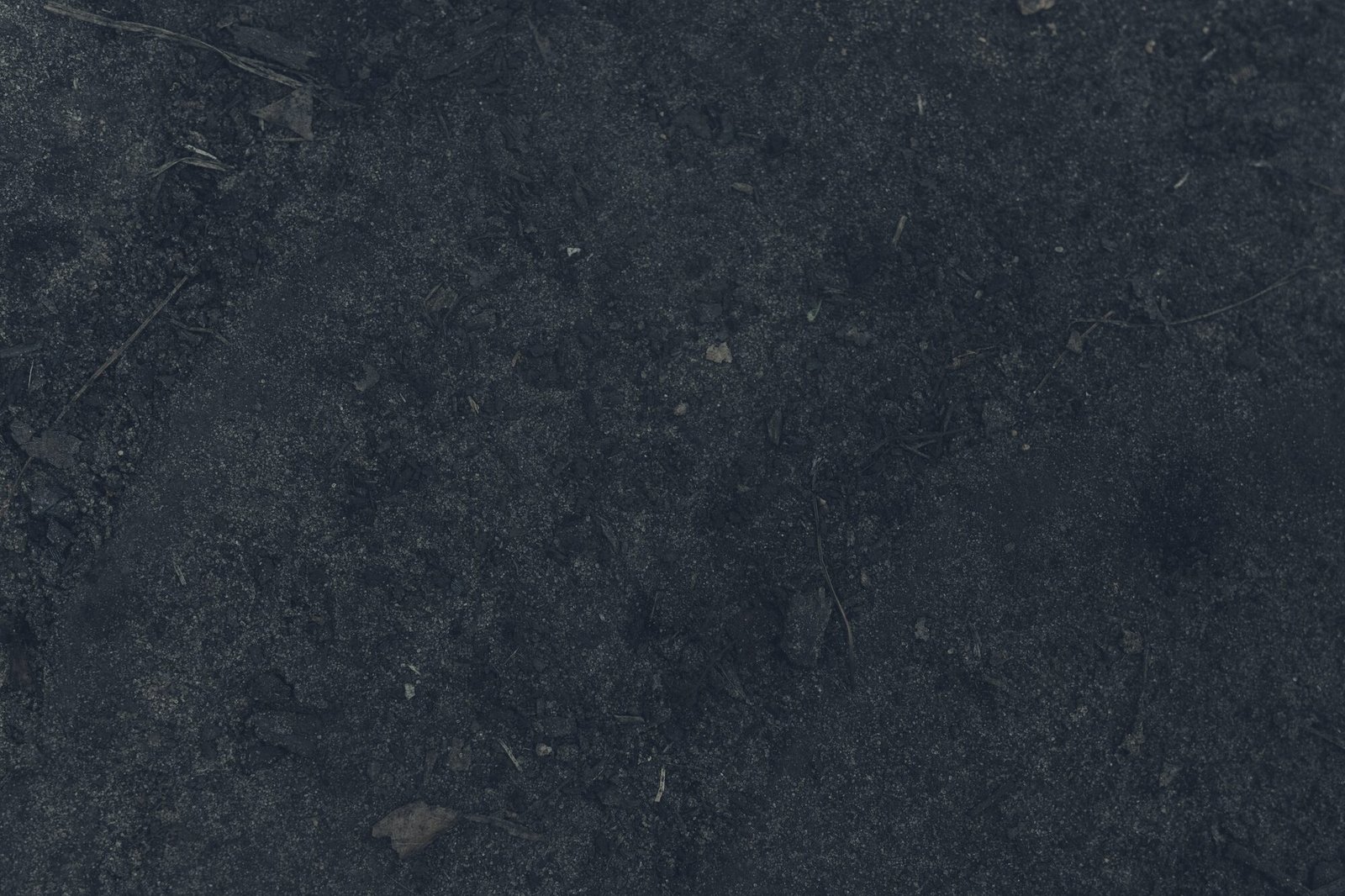 Granito